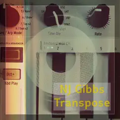 Transpose (Radio Edit) - Single by Nj Gibbs album reviews, ratings, credits