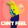 Can't Feel (Lofi Remix) - Single album lyrics, reviews, download