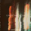 Unknown - Single album lyrics, reviews, download