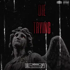 Die Trying - EP by Young Trip album reviews, ratings, credits