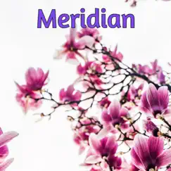 Meridian - Single by Stephen Mark Maughan album reviews, ratings, credits