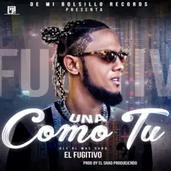 Una Como Tu (Mambo) - Single by Hlf El Mas Duro album reviews, ratings, credits