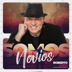 Somos Novios - Single by Roberto Lugo album reviews, ratings, credits