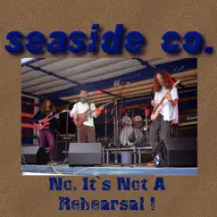 No, It's Not a Rehearsal! (Live in Oslo, Norway 1993 & 1994) by Seaside Co. album reviews, ratings, credits