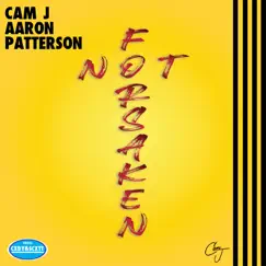 Not Forsaken - Single (feat. Aaron Patterson) - Single by Cam J. album reviews, ratings, credits