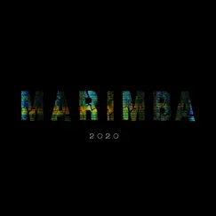 Marimba 2020 - Single by DJ Sobrino album reviews, ratings, credits