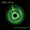 Pure Pleasure - Single album lyrics, reviews, download