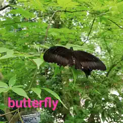 Butterfly - EP by Michiru Aoyama album reviews, ratings, credits