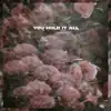 You Hold It All - Single album lyrics, reviews, download