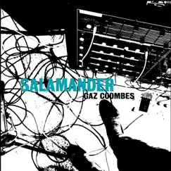 Salamander - Single by Gaz Coombes album reviews, ratings, credits