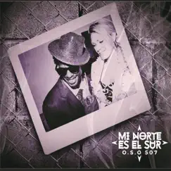 Mi Norte Es el Sur by Oso 507 album reviews, ratings, credits