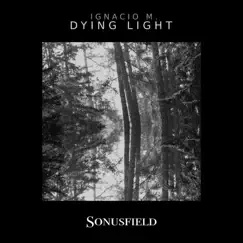 Dying Light Song Lyrics