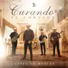 Curando El Corazón - Single album lyrics, reviews, download