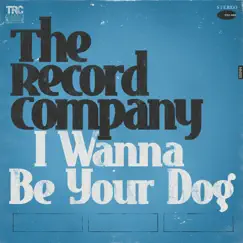 I Wanna Be Your Dog - Single by The Record Company album reviews, ratings, credits