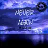 Never Again - Single album lyrics, reviews, download