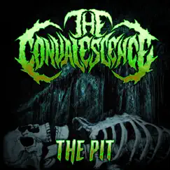The Pit - Single by The Convalescence album reviews, ratings, credits