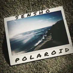 Polaroid - Single by Sensho album reviews, ratings, credits