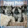 Puppy Music - Calming Tunes for Your Dog album lyrics, reviews, download