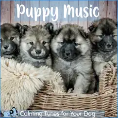 Puppy Music - Calming Tunes for Your Dog by Relaxmydog, Dog Music Dreams & Pet Music Therapy album reviews, ratings, credits