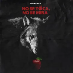 No Se Toca No Se Mira - Single by Lobo Malo album reviews, ratings, credits