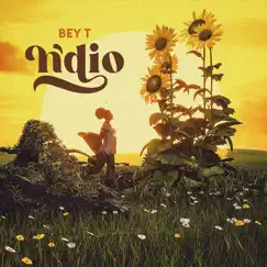 Ndio - Single by Bey T album reviews, ratings, credits