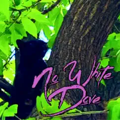 No White Dove by Bope album reviews, ratings, credits