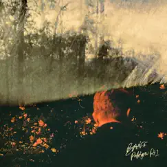 Pettigrew Pt 1 - Single by BANFF album reviews, ratings, credits