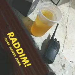 RADDIM - Single by Febem, fleezus & CESRV album reviews, ratings, credits