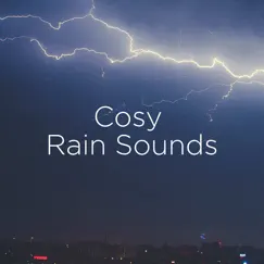 Cosy Rain Sounds by Thunderstorm Sound Bank & Thunderstorm Sleep album reviews, ratings, credits