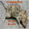 Whitey Bulger - Single album lyrics, reviews, download