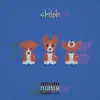 Shiloh - Single album lyrics, reviews, download