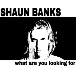 What Are You Looking For - Single by Shaun Banks album reviews, ratings, credits