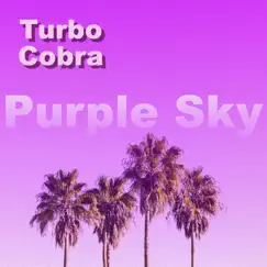 Purple Sky - Single by Turbo Cobra album reviews, ratings, credits