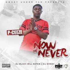 Now or Never by PCeeze album reviews, ratings, credits