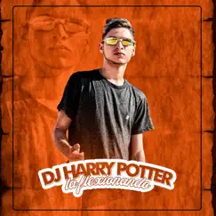 Tá Flexionando - Single by Dj Harry Potter album reviews, ratings, credits