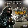 It Iz What It Iz album lyrics, reviews, download