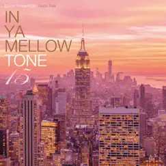 In Ya Mellow Tone 15 by Various Artists album reviews, ratings, credits