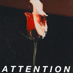 Attention - Single by Mandi Macias album reviews, ratings, credits