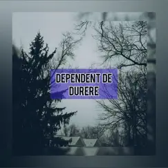 Dependent De Durere - Single by MR.SKIT album reviews, ratings, credits