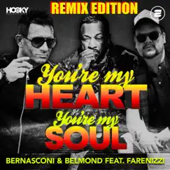 You're My Heart, You're My Soul (feat. Farenizzi) [Bassloop Extended Remix] Song Lyrics