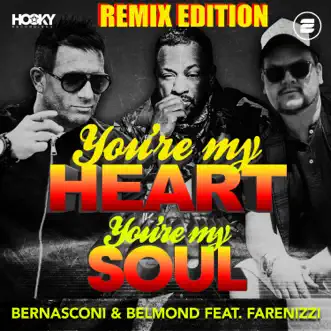 You're My Heart, You're My Soul (feat. Farenizzi) [Remix Edition] by Bernasconi & Belmond album download