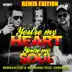 You're My Heart, You're My Soul (feat. Farenizzi) [Remix Edition] album cover
