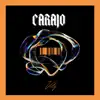 Carajo - Single album lyrics, reviews, download