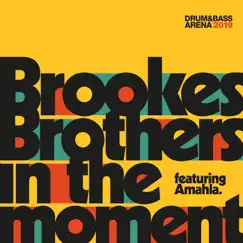 In the Moment (feat. Amahla) - Single by Brookes Brothers album reviews, ratings, credits