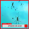 Spiders on Acid - Single album lyrics, reviews, download