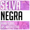 Para Todas las Madrecitas album lyrics, reviews, download