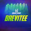 Brevitee - Single album lyrics, reviews, download