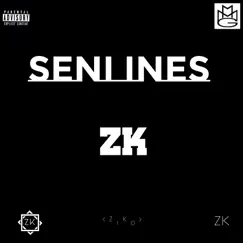 SenI - Single by Ziko album reviews, ratings, credits