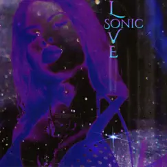 Sonic Love Song Lyrics