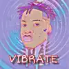 Vibrate - Single album lyrics, reviews, download